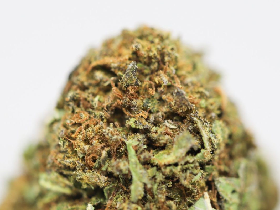 Black Diamond OG AA Canna Sweets Mail Order Marijuana