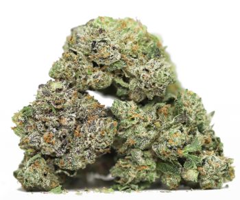 BC Rockstar AA