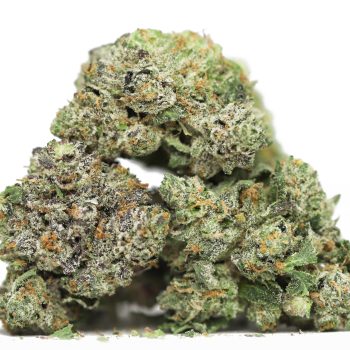 BC Rockstar AA