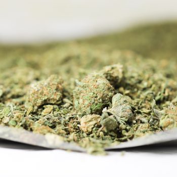 Sativa Shake