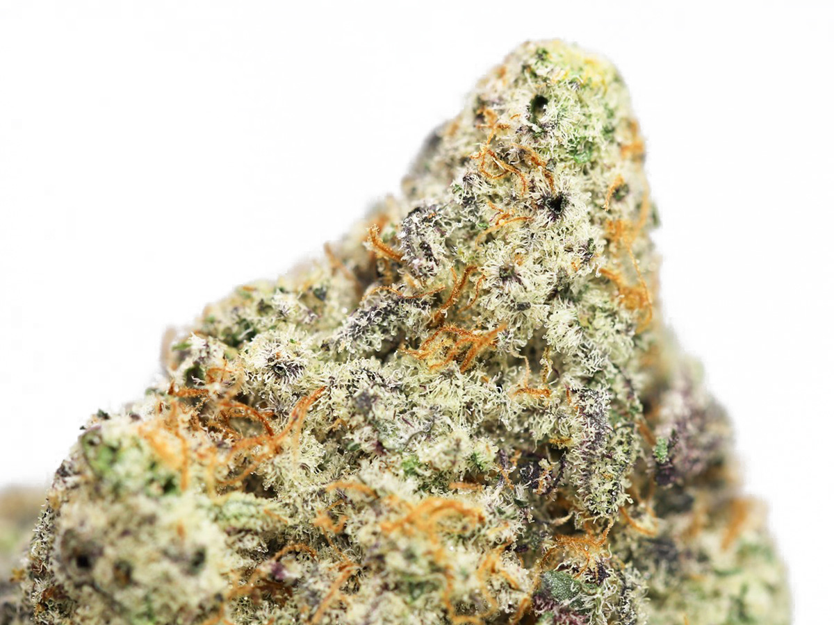 Cotton Candy Kush AAA Canna Sweets Mail Order Marijuana