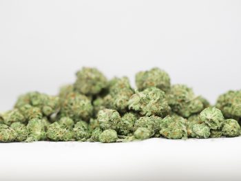 AA+ Small Buds