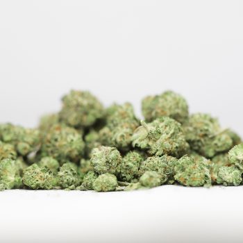 AA+ Small Buds