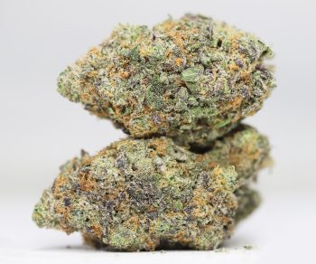 krft mrkt - Sunset Mimosa AAAA+