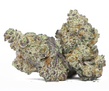 Purple Dream AA