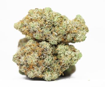 Blue Rhino AAA