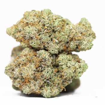 Blue Rhino AAA