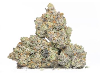 Purple God AAAA