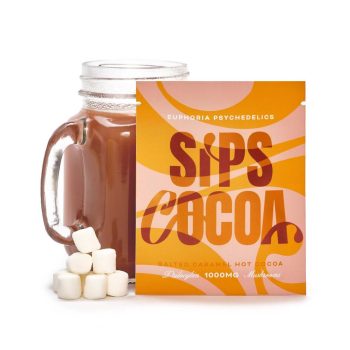 Euphoria Psychedelics – Salted Caramel Hot Cocoa – 1000MG