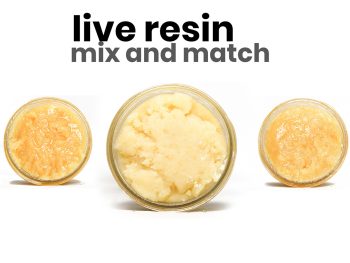 Mix n Match Live Resin (10 x 1g)