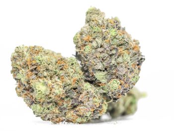 Comatose OG AAA