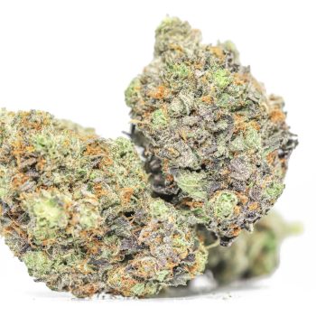 Comatose OG AAA