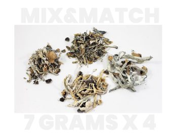 Ounce Mix and Match Shrooms (7g x 4)
