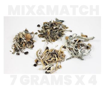 Ounce Mix and Match Shrooms (7g x 4)