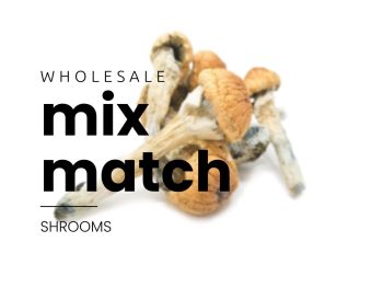 1/4 LB Mix and Match Shrooms