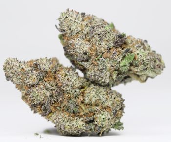 Purple Diesel AAA