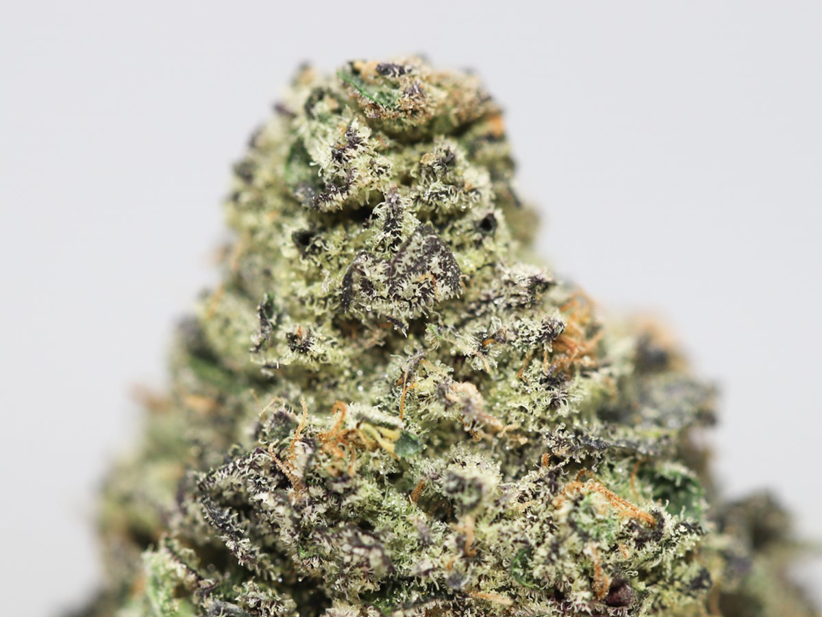 Blueberry Blast AAA Canna Sweets Mail Order Marijuana