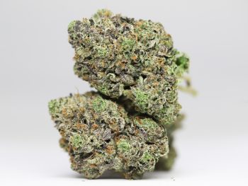 Dank Sinatra AAAA