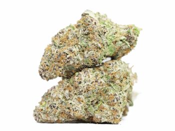 Papaya Punch AAAA