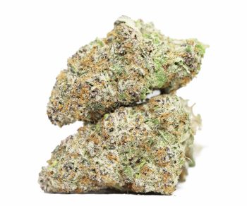 Papaya Punch AAAA