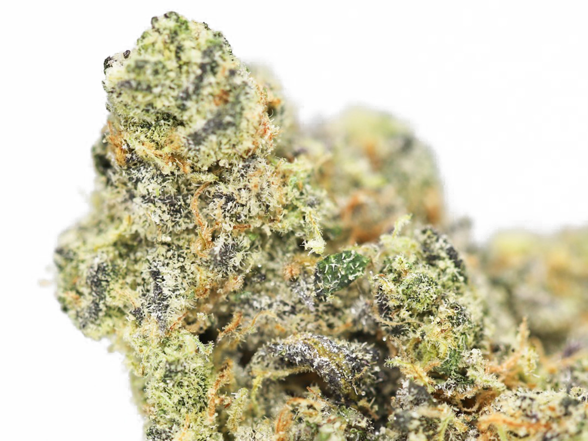 KRFT MRKT Apricot Jelly AAAA+ Canna Sweets Mail Order Marijuana