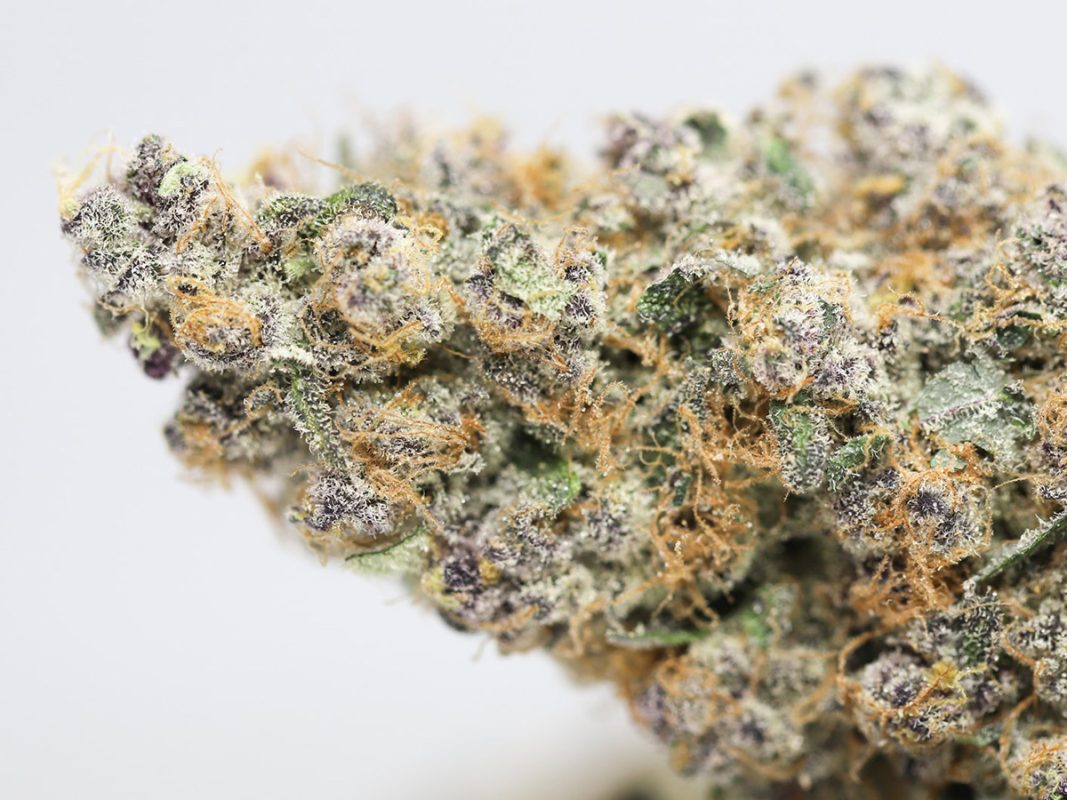 KRFT MRKT Apricot Jelly AAAA+ Canna Sweets Mail Order Marijuana