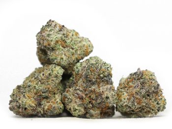 AAA+ Small Buds