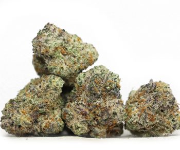 AAA+ Small Buds