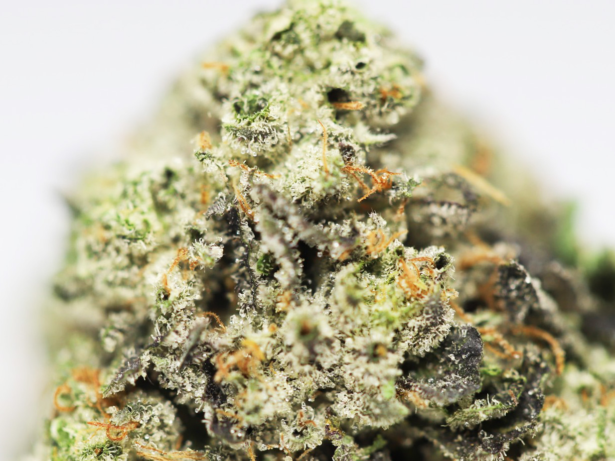 Pink Bubba AAA - Image 2