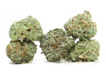 AAAA+ Small Buds