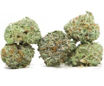 AAAA+ Small Buds 1/4 LB - 1/2lb