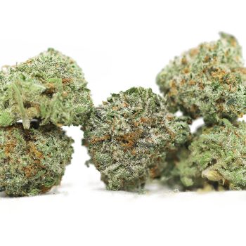 AAAA+ Small Buds