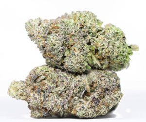 Banner's Revenge AAAA