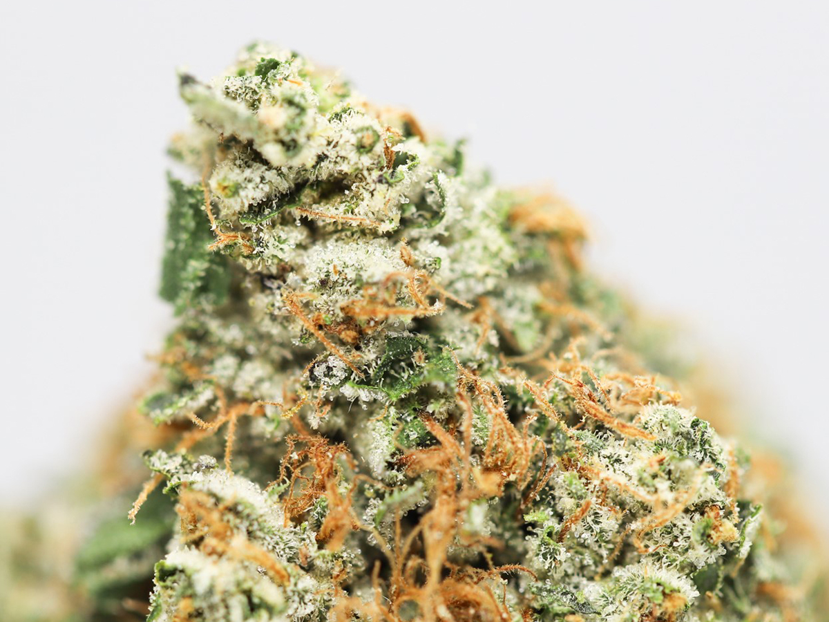 Sticky Icky OG AAA Canna Sweets Mail Order Marijuana