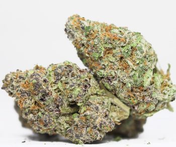 Orange Cream AA