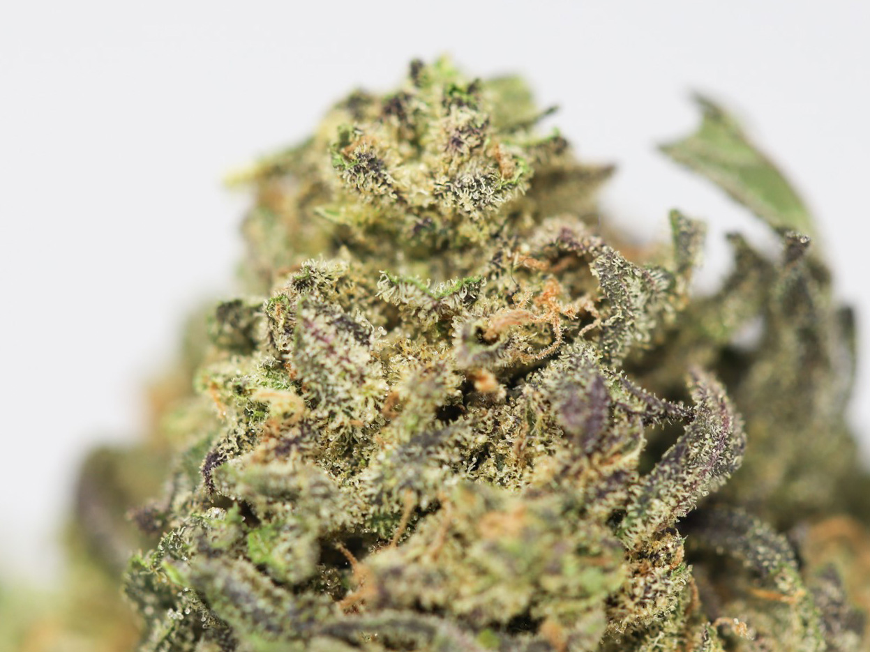 Amnesia Haze AA - Image 2