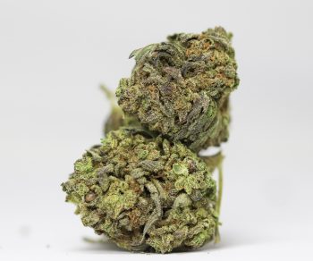 Amnesia Haze AA