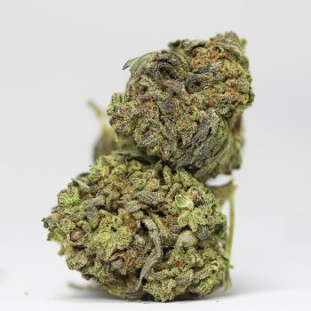 Amnesia Haze AA