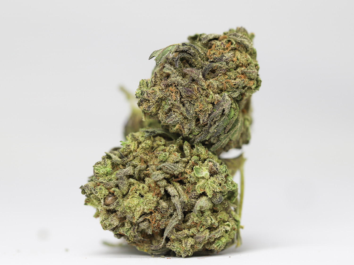 Amnesia Haze AA