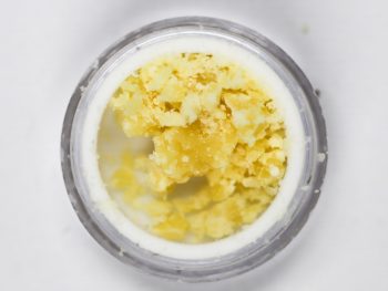 AAA+ House Crumble - Cherry Sherbet