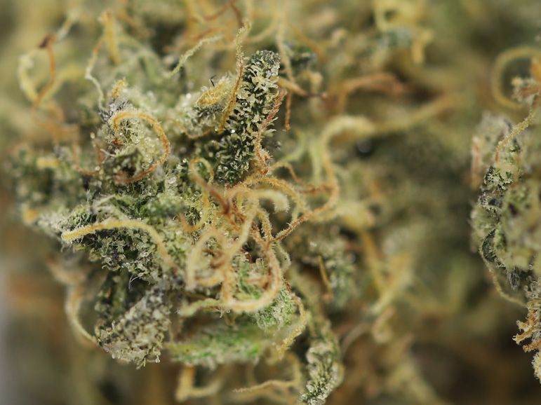 Frosted Cherry Cookies AAA Canna Sweets Mail Order Marijuana