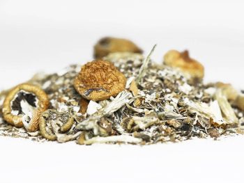 Mushroom Shake (Shrooms)