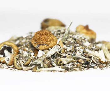 Mushroom Shake (Shrooms)