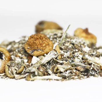 Mushroom Shake (Shrooms)