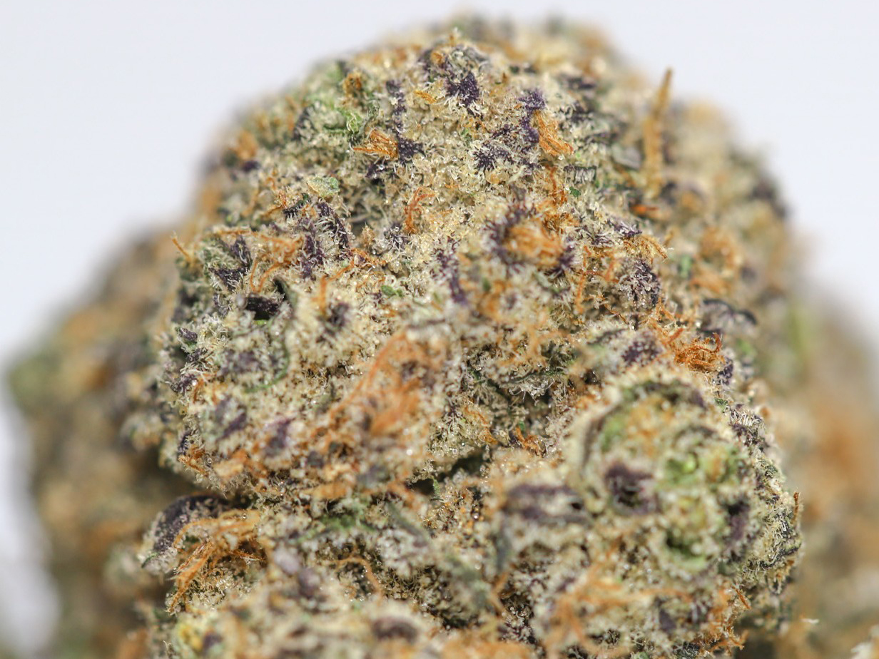 Sundae Driver AAA - Image 2