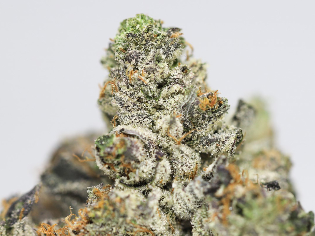 Peanut Butter Breath AAA Canna Sweets Mail Order Marijuana