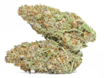 Fruit Loops AA