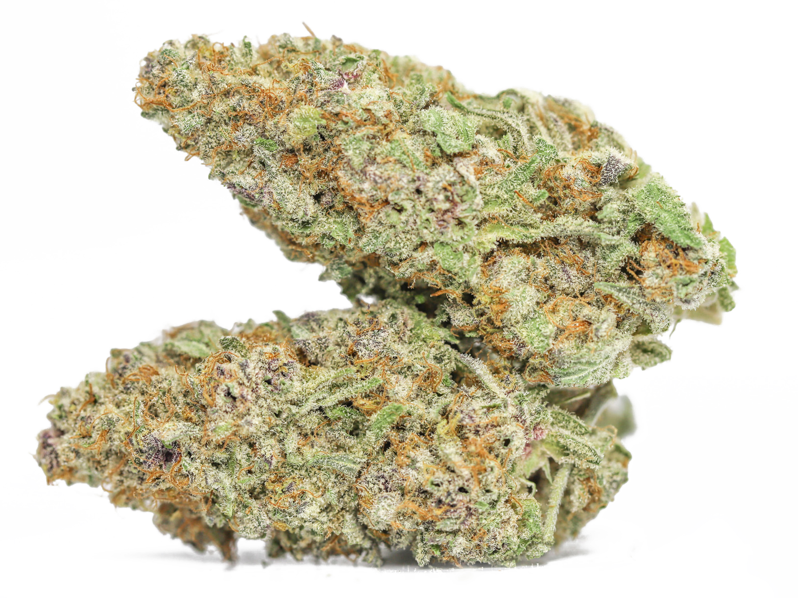 Fruit Loops AA