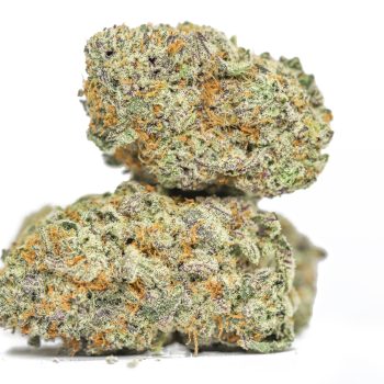 Mimosa AAA