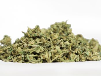 Sweet Special Micro Buds/Shake